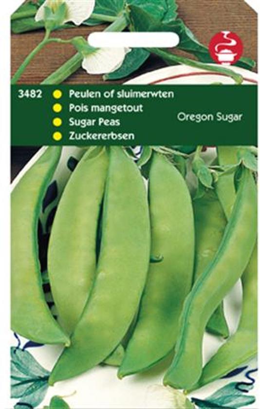 Snow pea Oregon Sugar (Pisum sativum) 375 seeds